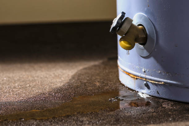Best Local water damage restoration  in Keyser, WV