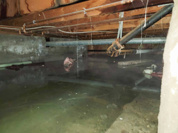 Best 24-hour water damage restoration  in Keyser, WV