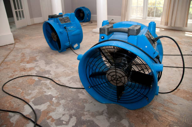 Best Water damage cleanup near me  in Keyser, WV