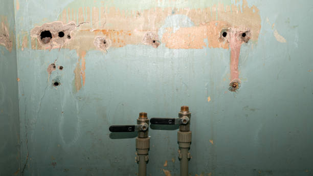 Best Emergency water damage restoration  in Keyser, WV