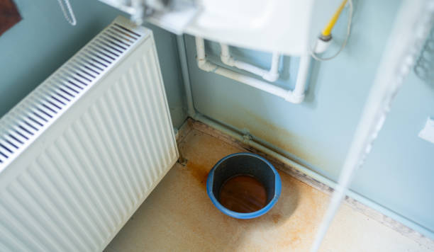 Best Sewage cleanup and water damage restoration  in Keyser, WV