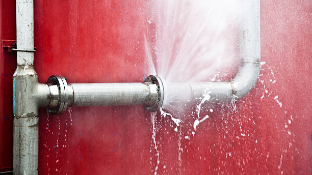Best Sewage cleanup and water damage restoration  in Keyser, WV